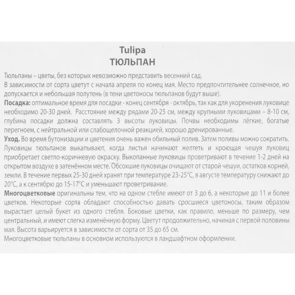 Тюльпан многоцветковый Торонто, 3 шт 85205534 STLM-2102863 ПОИСК  - Вид №2