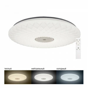 Светильник потолочный светодиодный в стальном корпусе с пультом ДУ 50 см белый 3000К-6500K Feron 297 FERON ДИЗАЙНЕРСКИЕ 00-3955226 Белый