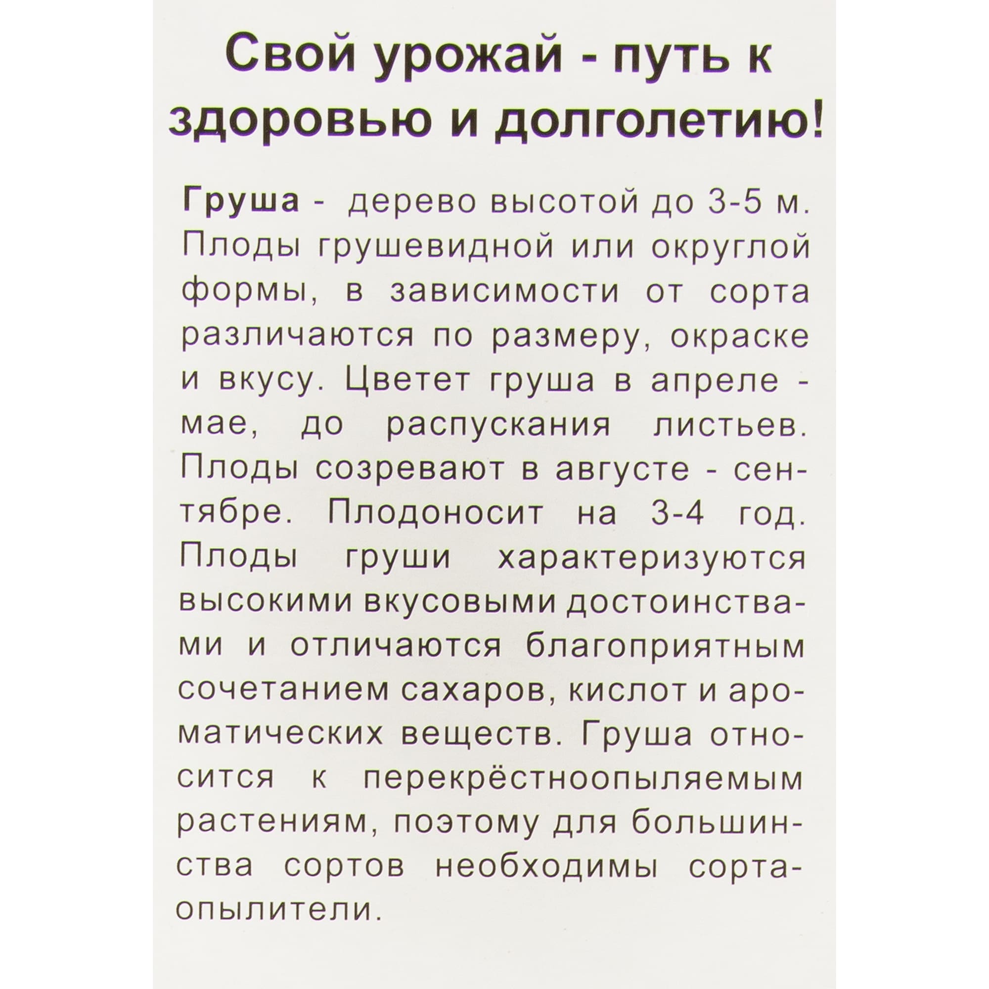 82528979 Груша Отрадненская Santreyd  - Вид №1