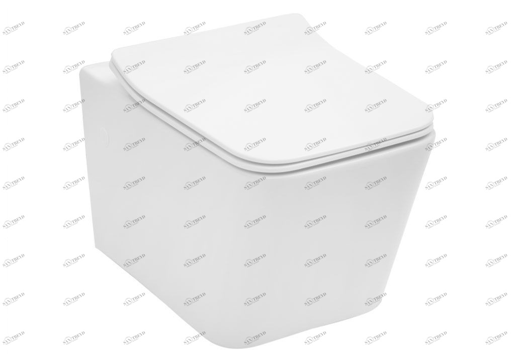 BL103NWHT Подвесной унитаз настенный Белый Aquanet TAVR Китай