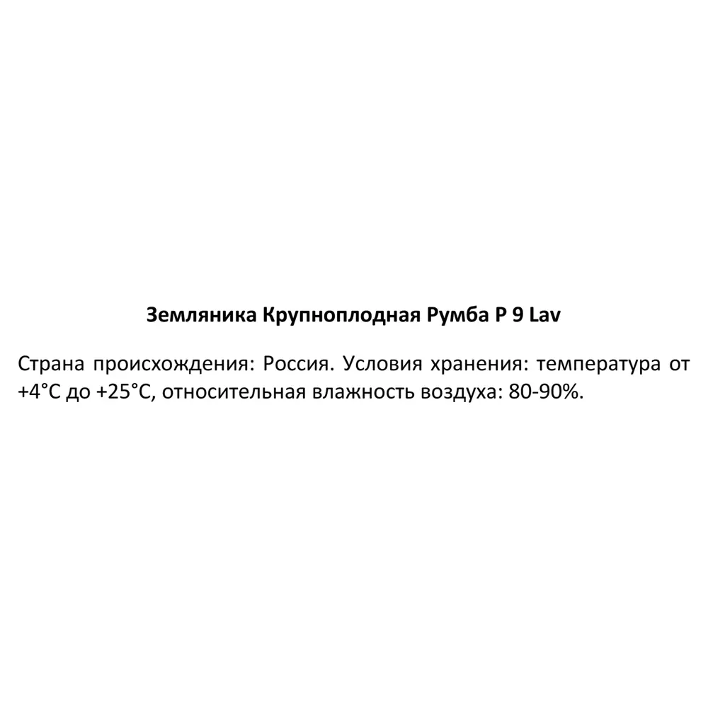 Земляника садовая Румба ø9 h25 см 87767409 STLM-2059676 Santreyd  - Вид №2