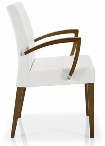 JMS Стул с подлокотниками Cassis M 14b