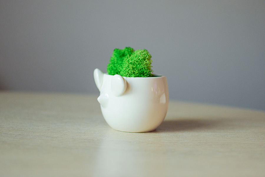 Набор для выращивания Eco мини-кашпо «Мышка» ЭКОЧЕЛОВЕКИ MIN104 - Вид №1