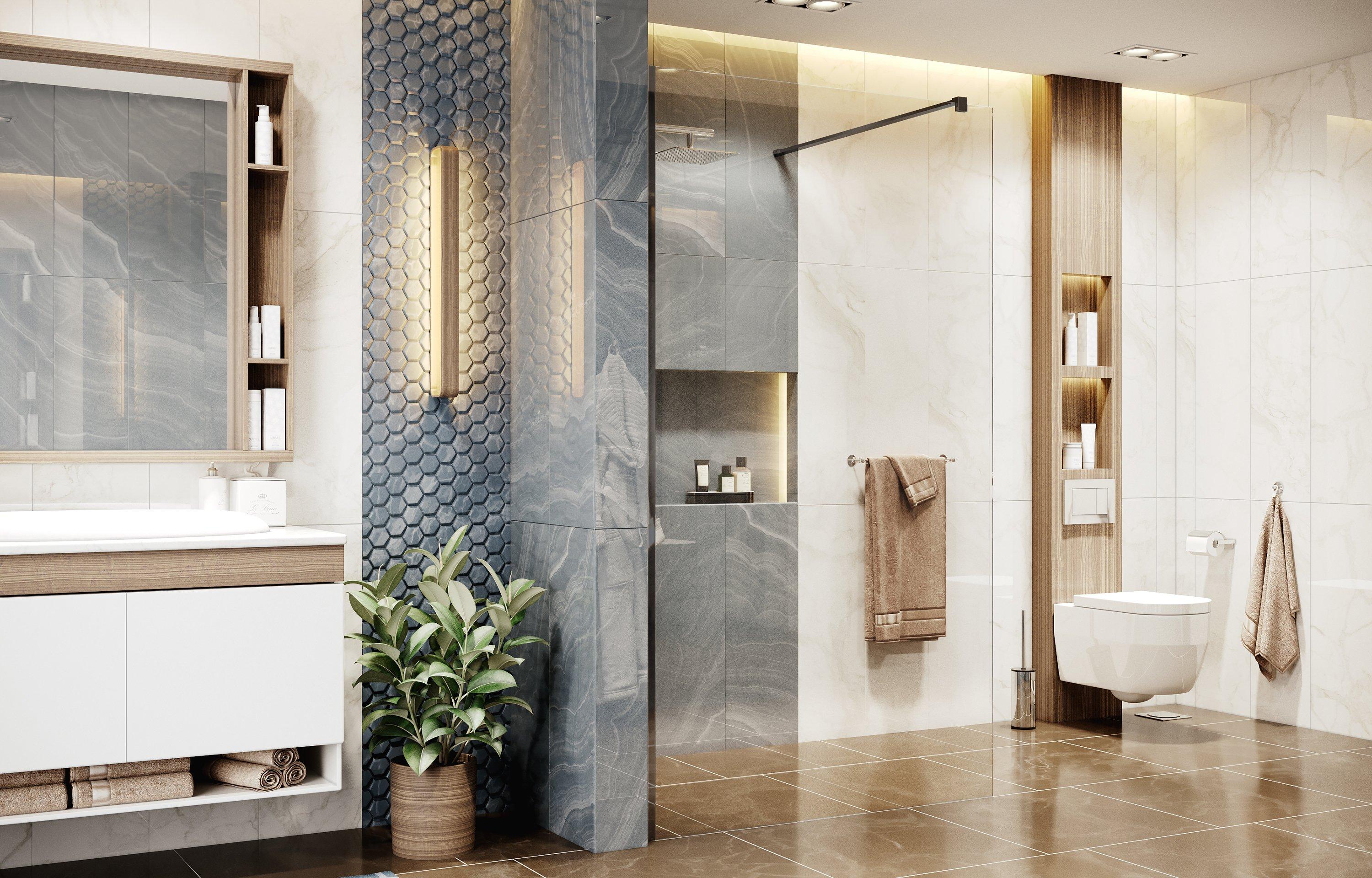 Душевая перегородка Ambassador Waik-in 15031111 (1100x2000), 1 место Walk-in - Вид №3