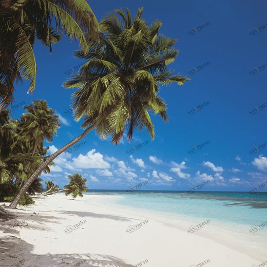 8-240-Maldives Фотообои Komar Scenics Edition 2 2.70х3.88 м 8240MALDIVES