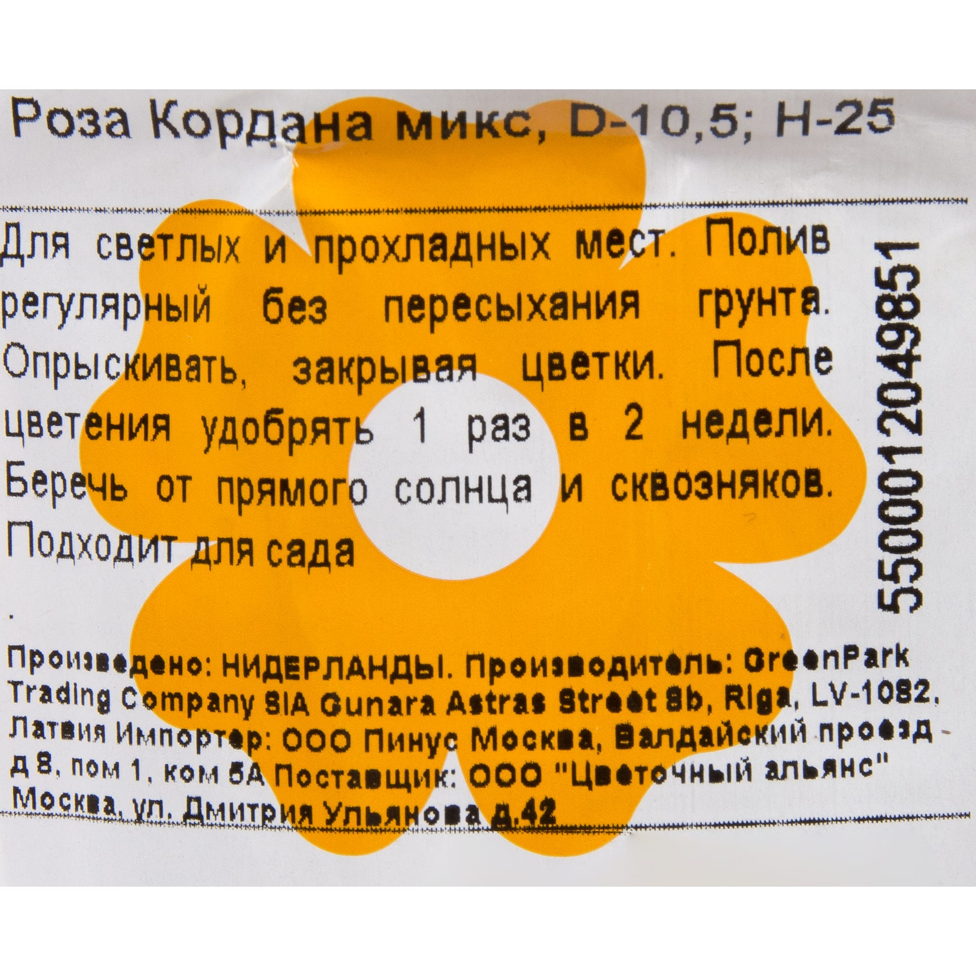 14448121 Роза Кордана микс 10х25 см Santreyd  - Вид №2