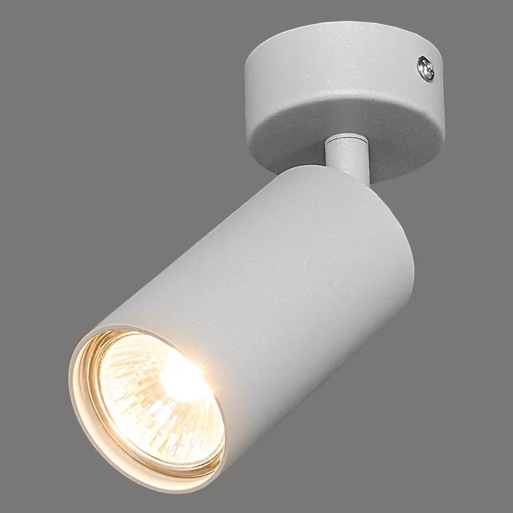 Поворотный спот Arte Lamp Arius серый — точечное освещение интерьера 82138003 STLM-0020144 - Вид №1