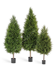 10.56004N Кипарис Тауэр уличный новый Цветочная коллекция