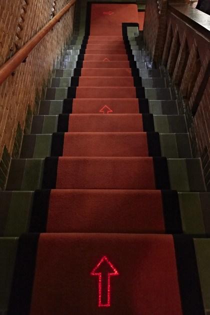 Large Luminous Surfaces Светодиодное аварийное освещение для светлых полов sun-id-1461481 - Вид №6