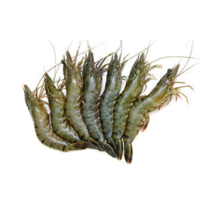 Тигровые креветки 6/8 свежемороженые ~1 кг