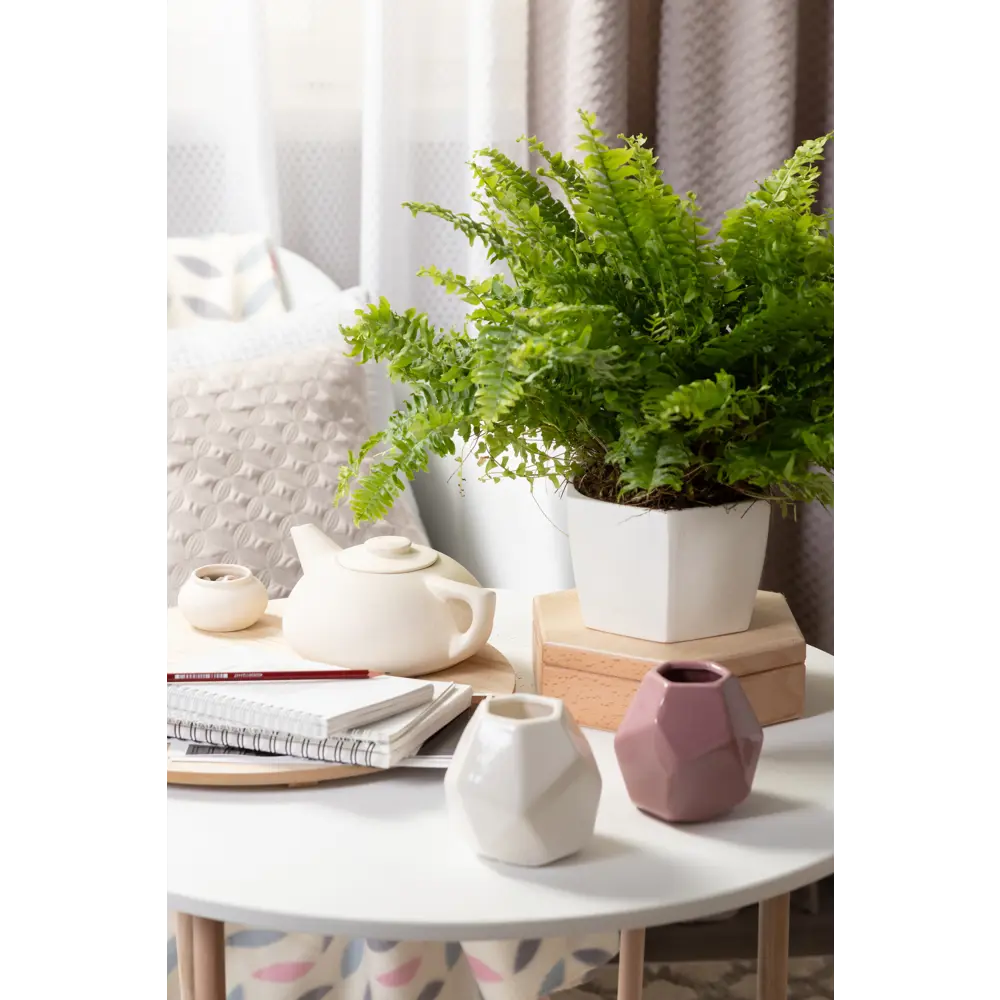 Кашпо Эджес ø18 h11 см v1.5 л керамика белый Santreyd STLM-2069756 - Вид №5