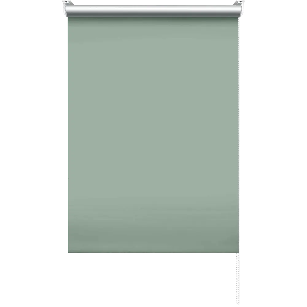 Штора рулонная блэкаут Эскар 60x160 см зеленая Cactus 5 BLACKOUT STLM-2182136