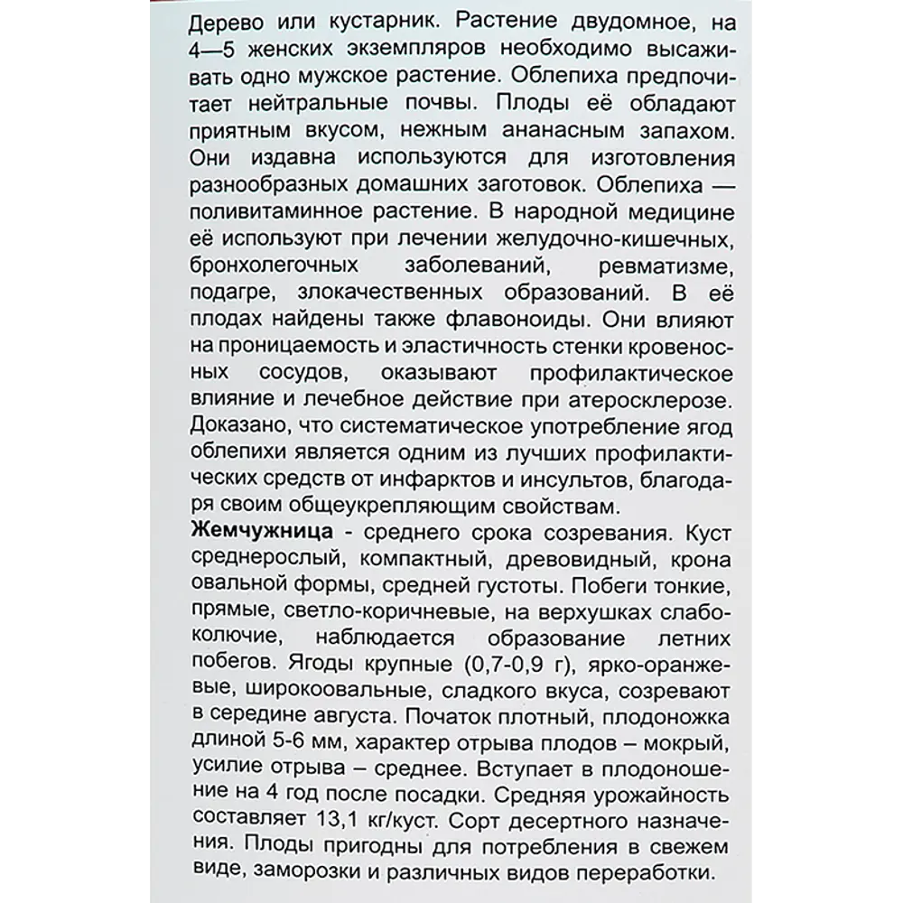 Облепиха Жемчужница h40 см 86543960 STLM-2097384 Santreyd  - Вид №3