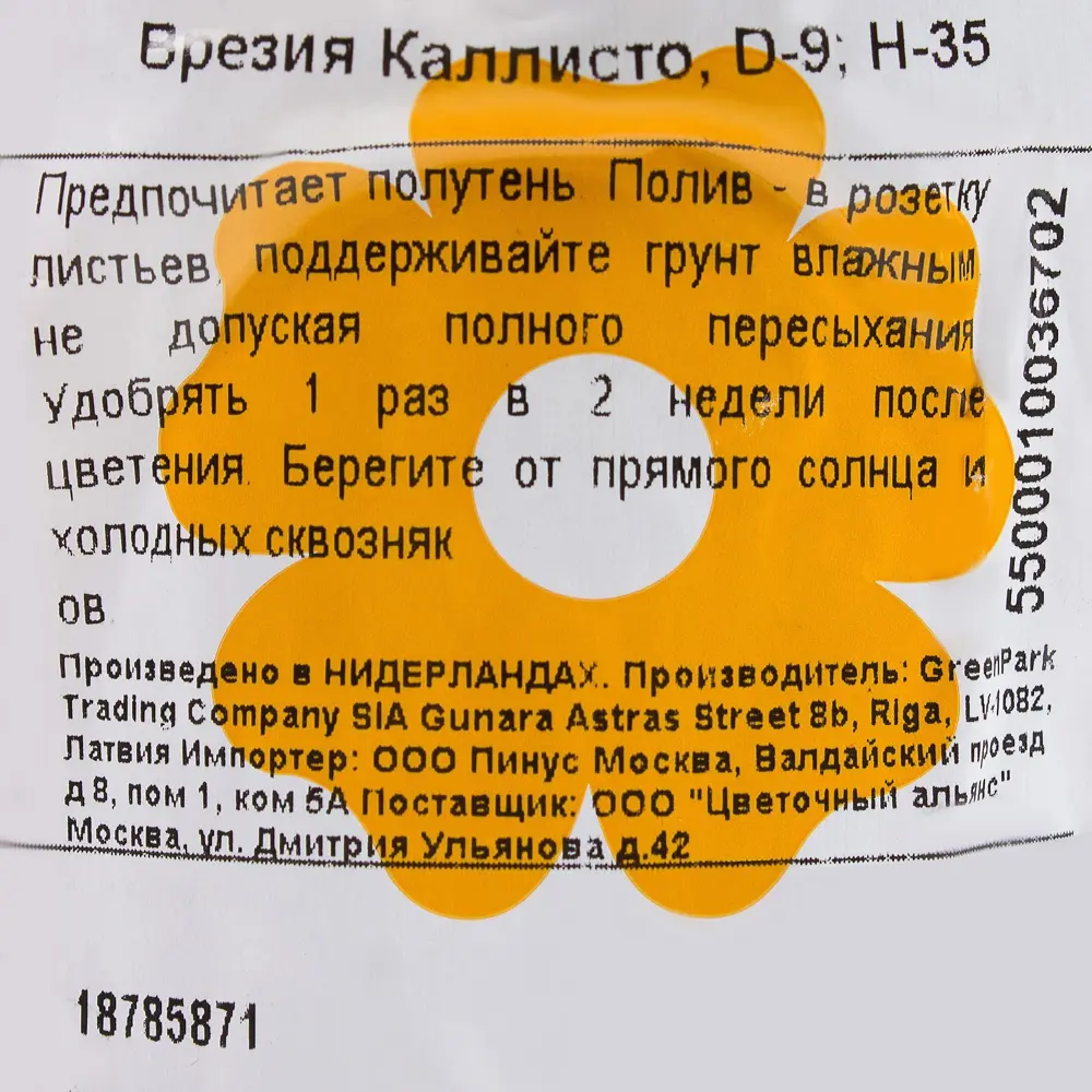 Вриезия «Каллисто» D9 H35 18785871 STLM-2156648 Santreyd  - Вид №2