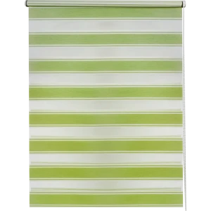 Штора рулонная день-ночь Дэли 60x160 см салатовая