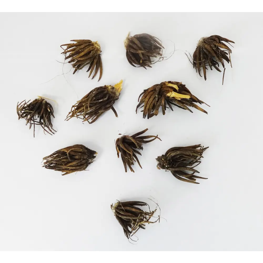 Лютик азиатский Пепл от ПОИСК - фиолетовые полумахровые цветы для сада 89381391 STLM-1564844 - Вид №3