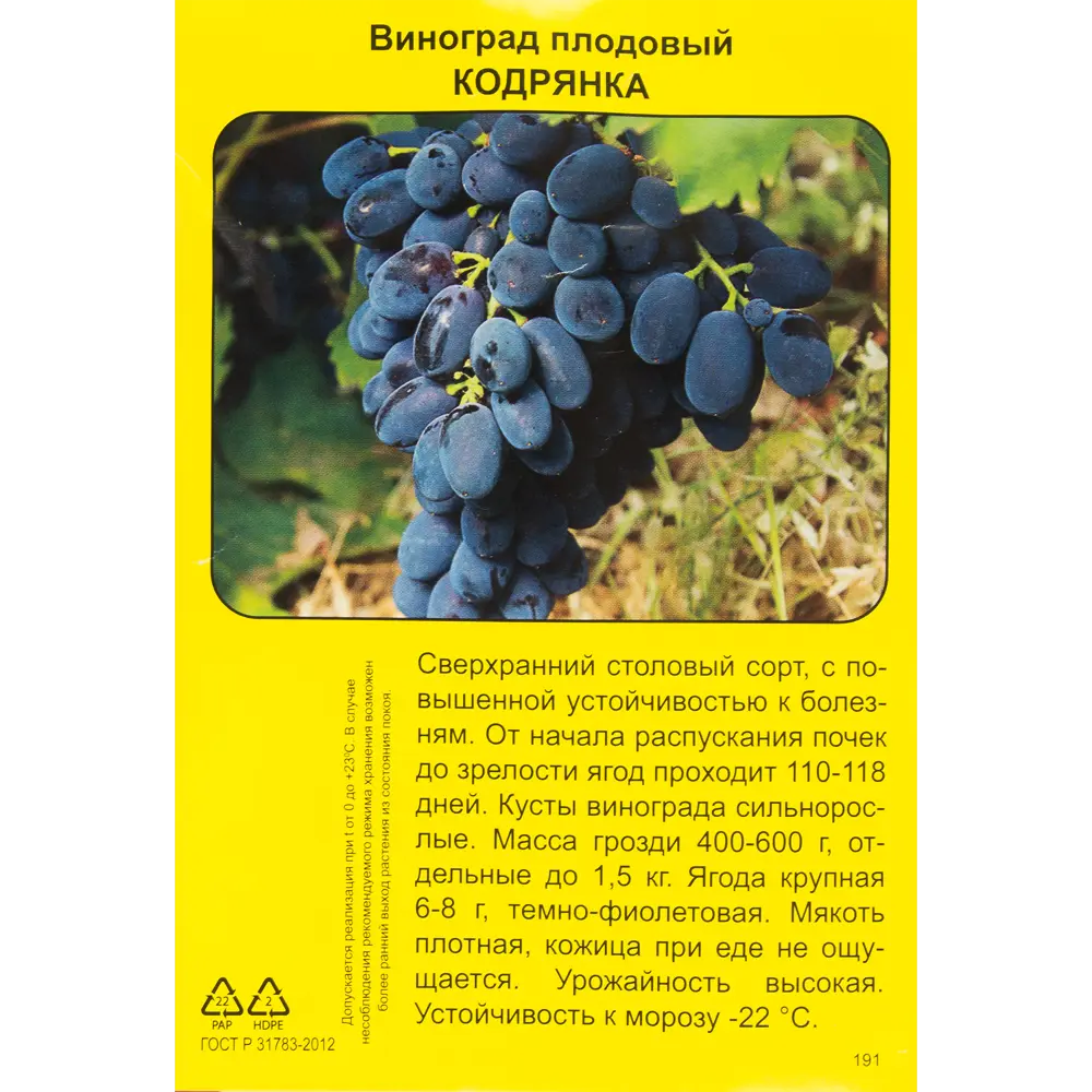 Виноград плодовый Кодрянка h40 см 83791403 STLM-2031622 Santreyd  - Вид №1