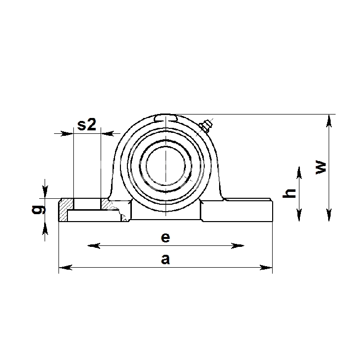 IS1908 Корпус подшипника P205 (бел. пласт) P205PW ISKRA  - Вид №1