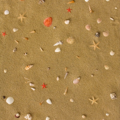 Пробка CorkStyle Fantasy Sandstrand (Гладкая) 915х305 мм 1001400109 - Вид №1