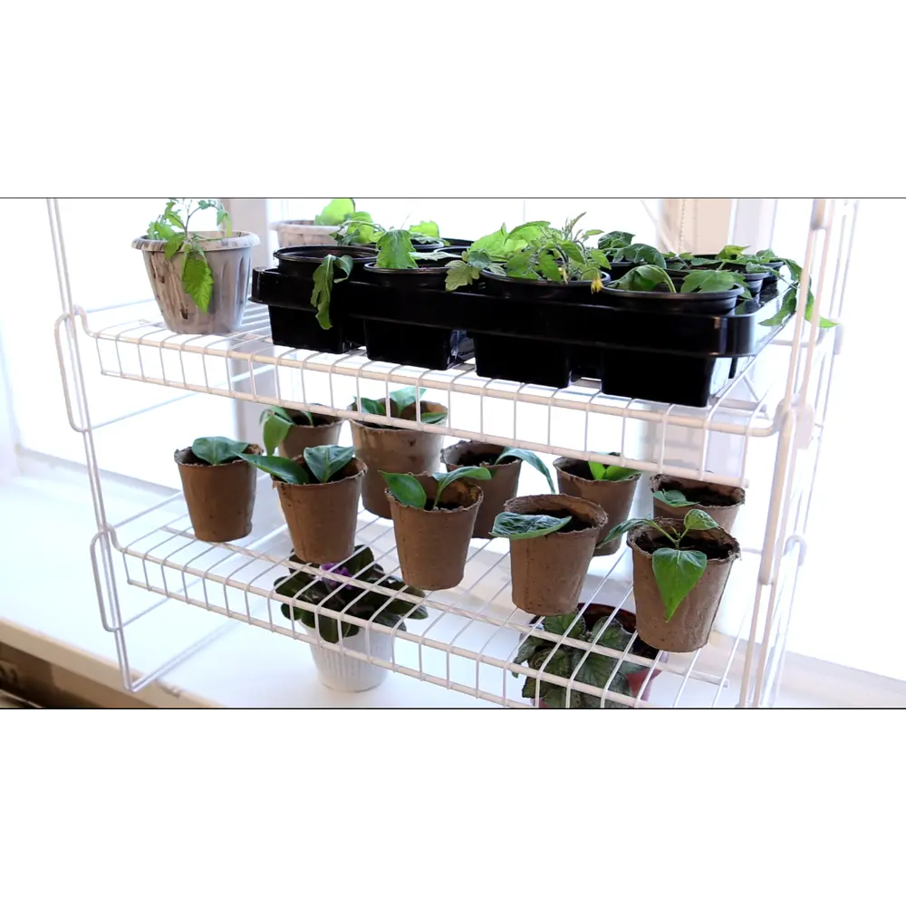 Стеллаж для рассады 3 полки 62x93x33 см, металл окрашенный Santreyd STLM-2192555 - Вид №5