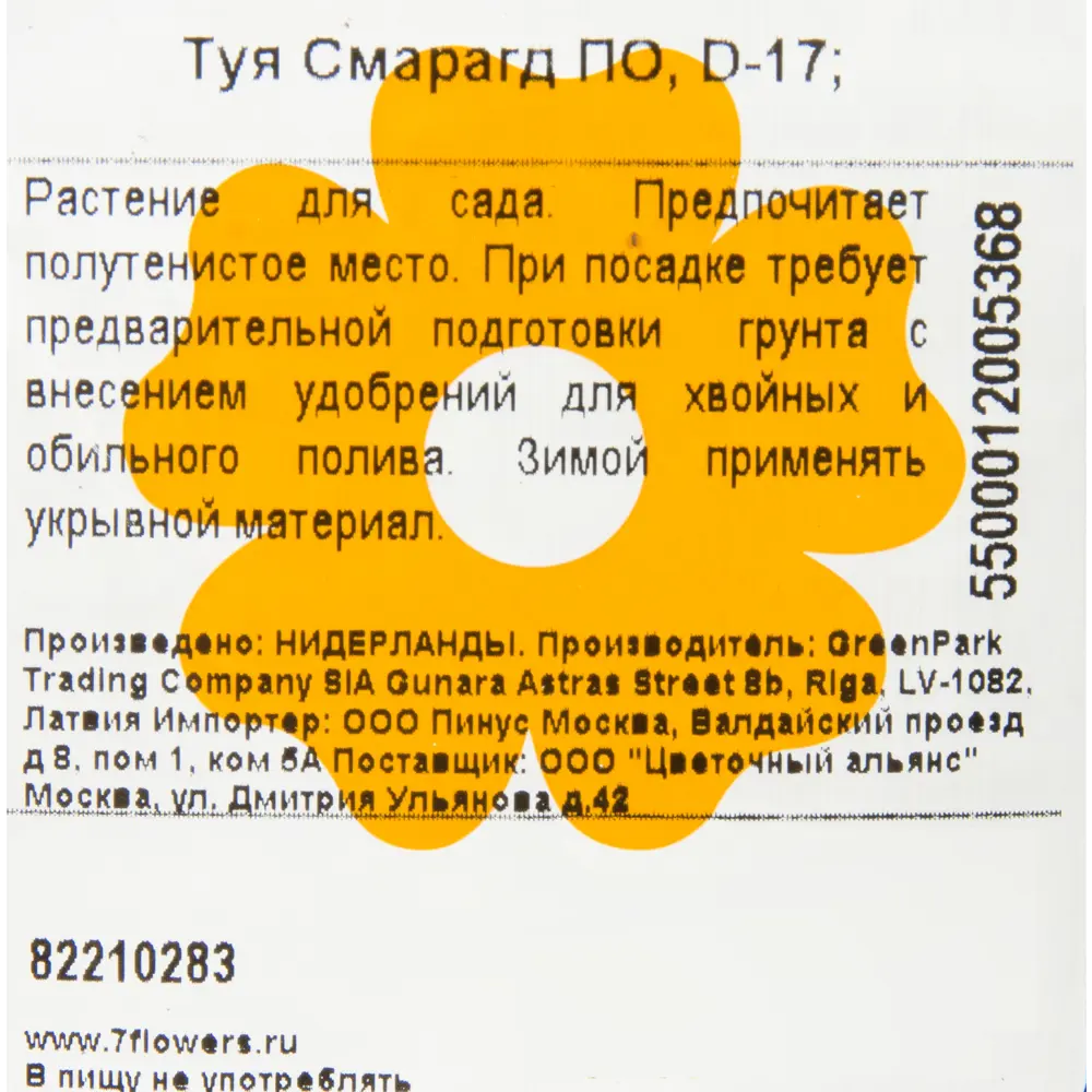 Туя западная «Смарагд» 2 л h40-60 см 82207576 STLM-2176031 Santreyd  - Вид №1