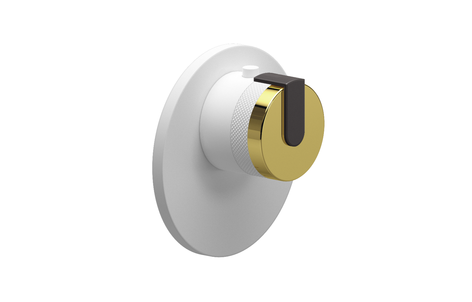 E-8027-R1AUE-L1GM-WT-T Термостатический переключатель 3/4-Внешняя часть GRAFF MOD+