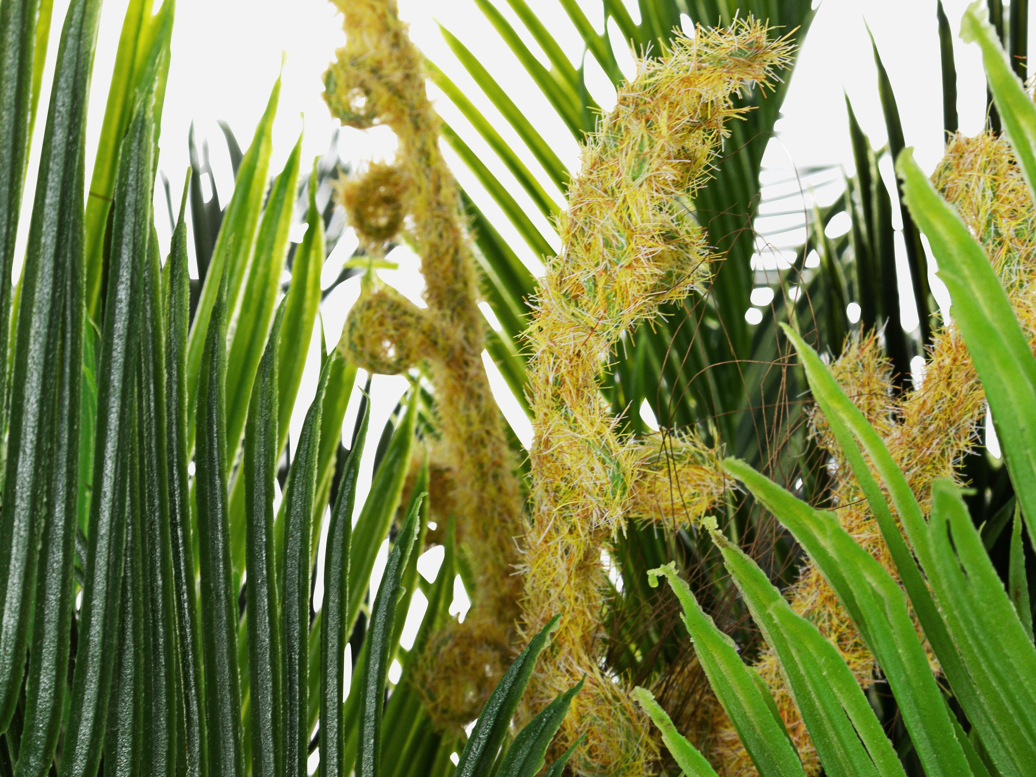 Искусственное растение BIZZOTTO PALMA ARCH-00116343 - Вид №1