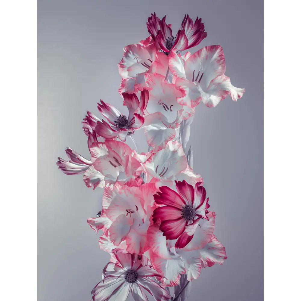 Картина на стекле "Цветы серые" 60x80 см 82924204 STLM-2030688 ARTABOSKO 