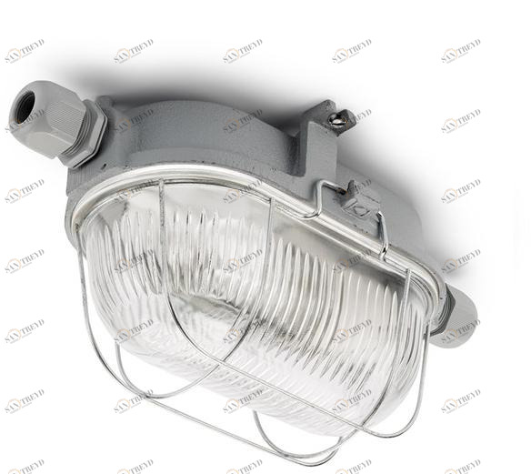 THPG Уличный потолочный светильник  100506 