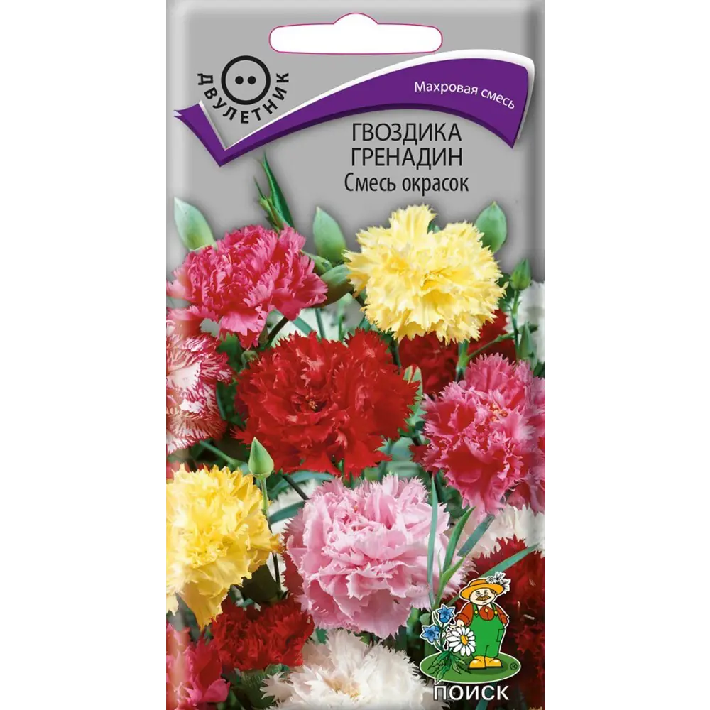 Гвоздика Шарм Пинк ПОИСК - махровые розовые цветы для сада 89401281 STLM-1565909