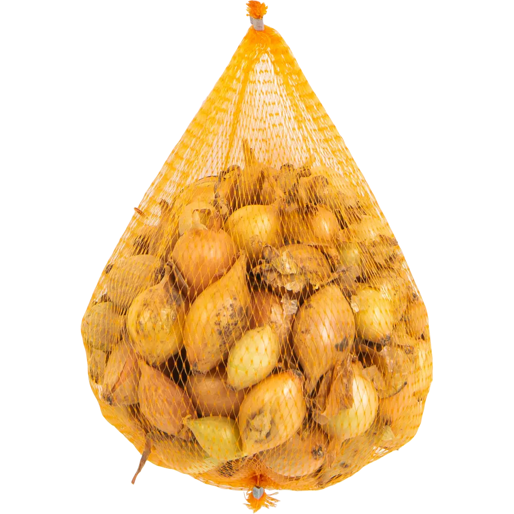 Лук-севок стурон 10/21 0.35 кг Santreyd STLM-2160491 - Вид №1