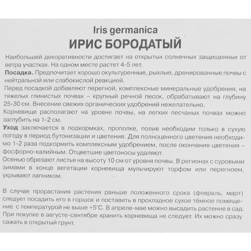 Ирис бородатый Натчез Трейс ПОИСК STLM-2117871 - Вид №2