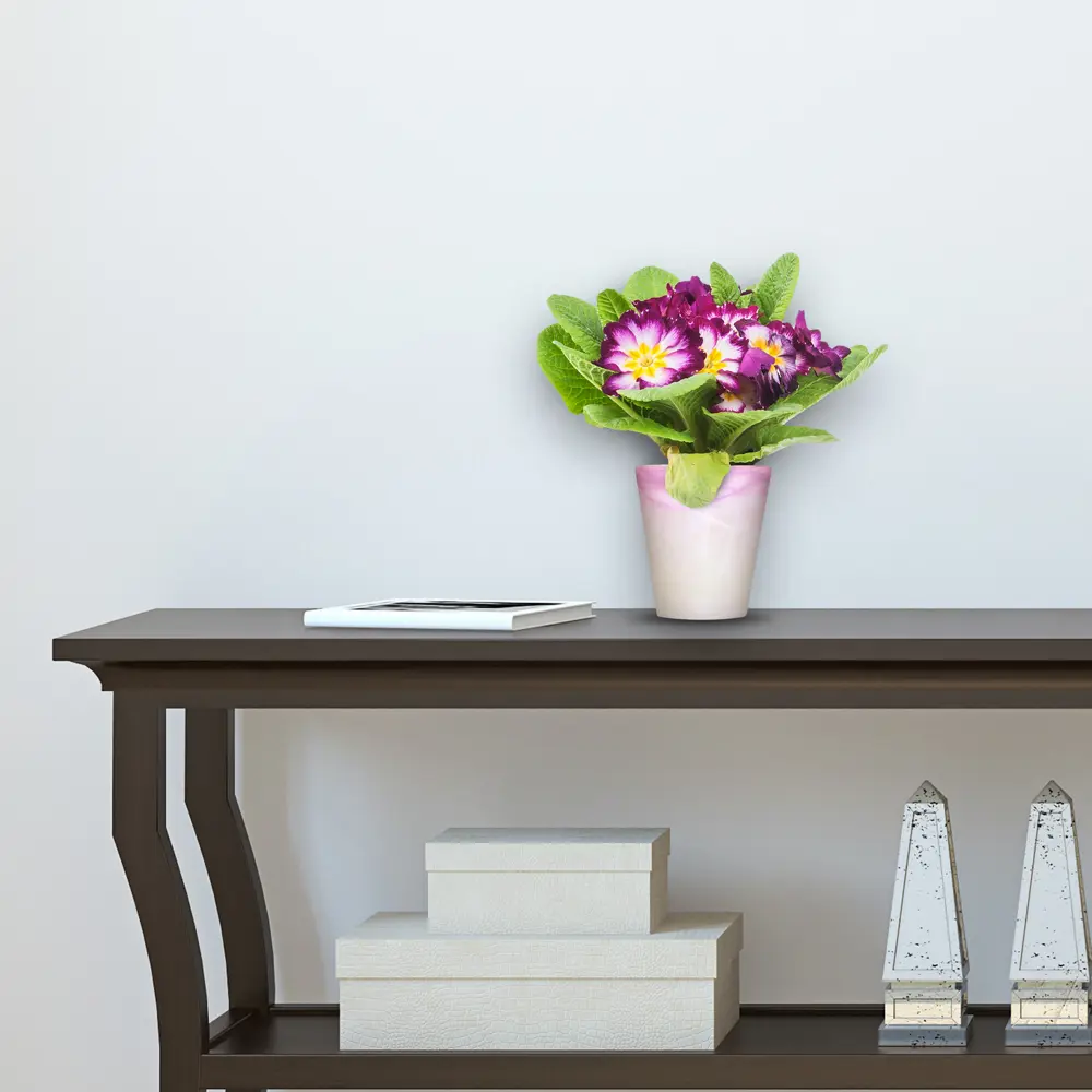 Кашпо для орхидей ø14 h15 см v1 л стекло белый/фиолетовый NINA GLASS Бальзамин STLM-2112694 - Вид №2