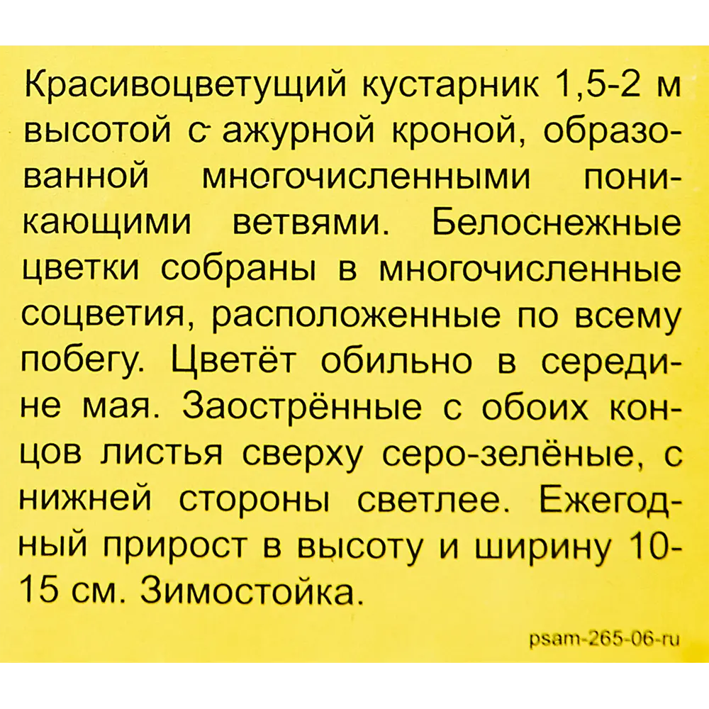 Спирея серая Грефшейм h40 см 83786854 STLM-2125645 Santreyd  - Вид №2