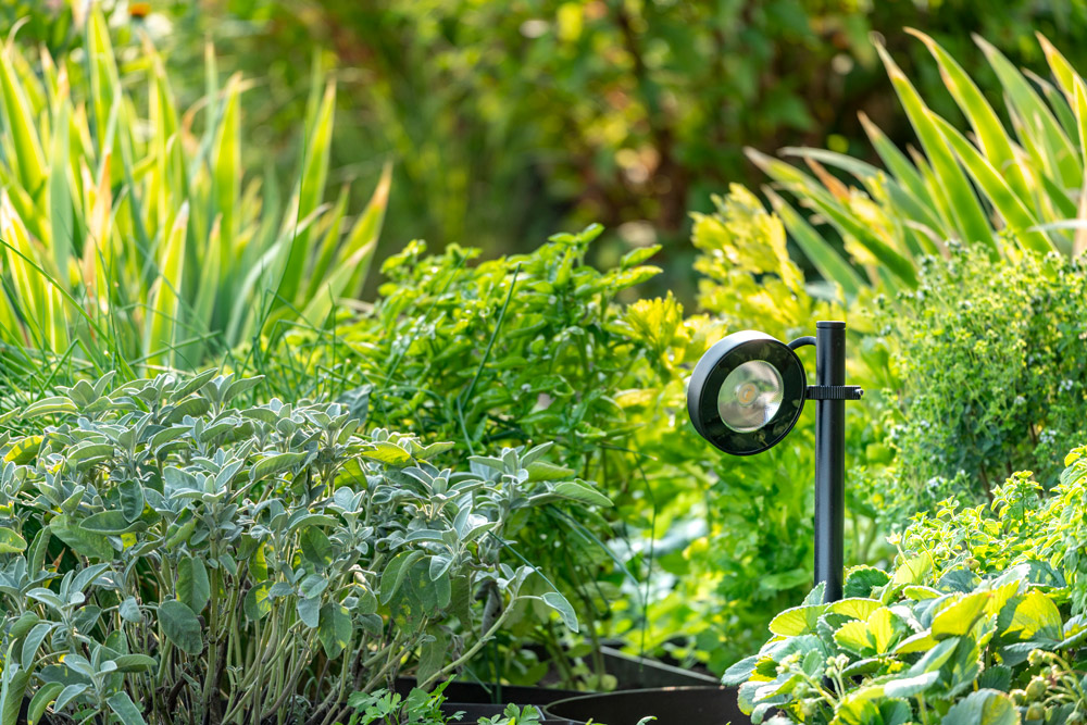 8800161 Проектор Platek FROG  FROG - 1 COB 4000K 26° - Вид №2