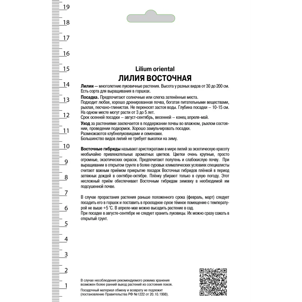 Лилии восточные «Брейк-Данс», размер луковицы 14/16, 1 шт. 82118710 STLM-2204722 Santreyd  - Вид №1