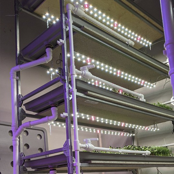 3543 Комплект Quantum line 115 см LAB.Space  - Вид №7