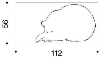 Danese Milano Трехцветная трафаретная печать на бумаге dropjet Serie della natura Dedz06  - Вид №1