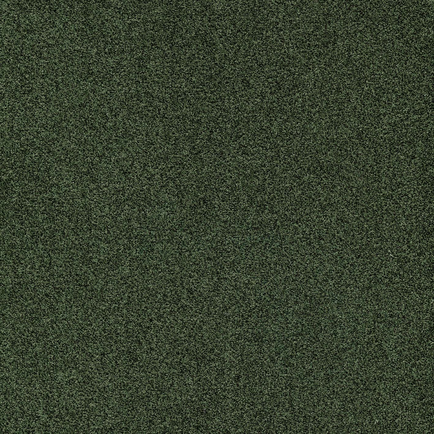 Сплошной ковер MODULYSS Delight ARCH-00141513 - Вид №18