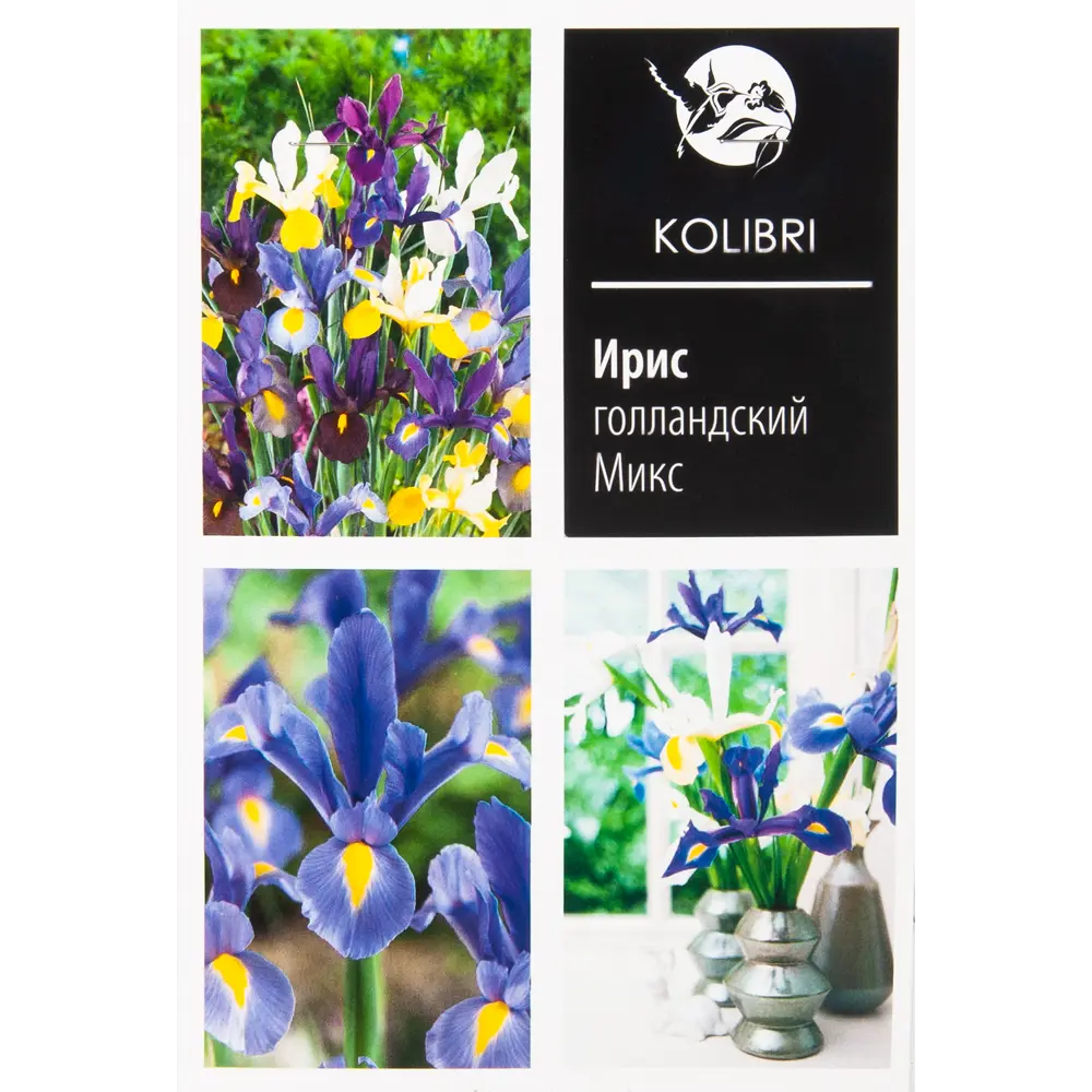 Ирис голландский смесь окрасок 82539350 STLM-2179012 КОЛИБРИ 