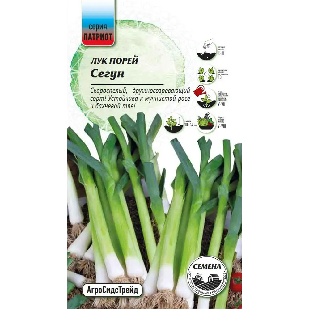 Семена овощей Патриот лук порей Сегун 89405133 STLM-2179796 Santreyd 
