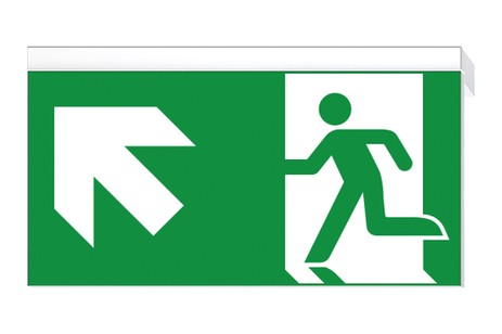 DST-1528 Ikus 320-p Daisalux Светильники сигнальные Белый 