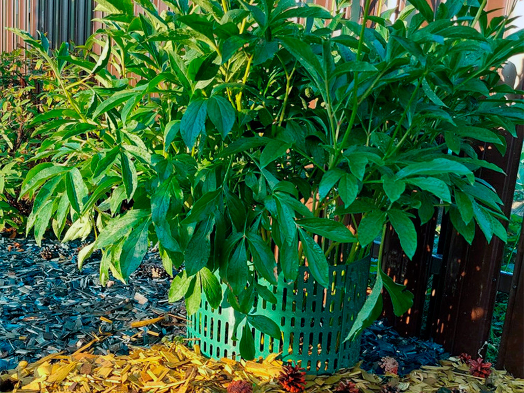 Защитно-декоративное ограждение, цвет зелёный 4 шт ГеоПластБорд GPBST-185 - Вид №2