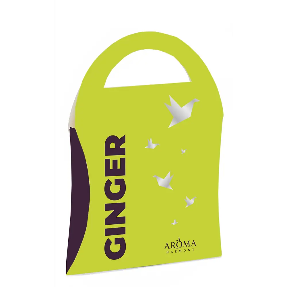 Саше ароматизированное Ginger 10 г 84182442 STLM-2107733 AROMA HARMONY 