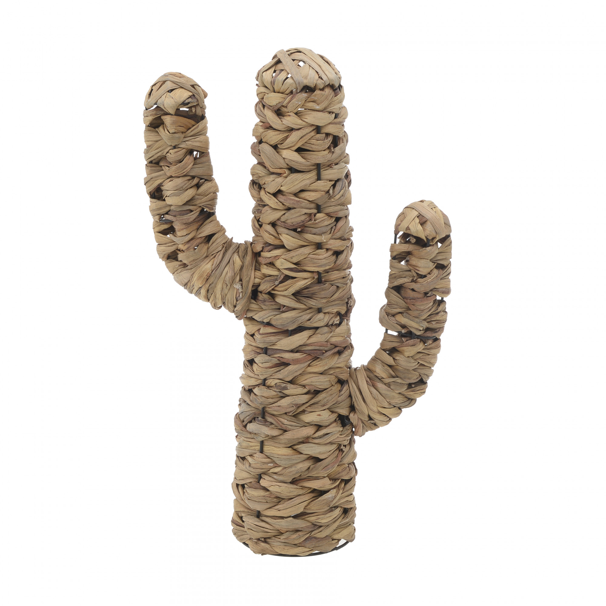 3870823.0235 ДЕКОР - КАКТУС TO4ROOMS 