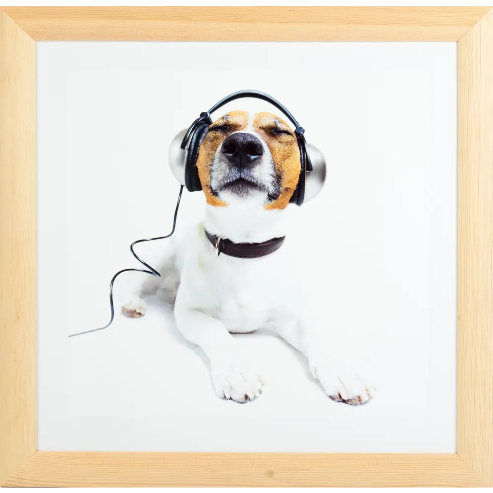 Постер в раме 40x40 см Меломан Santreyd STLM-2199106