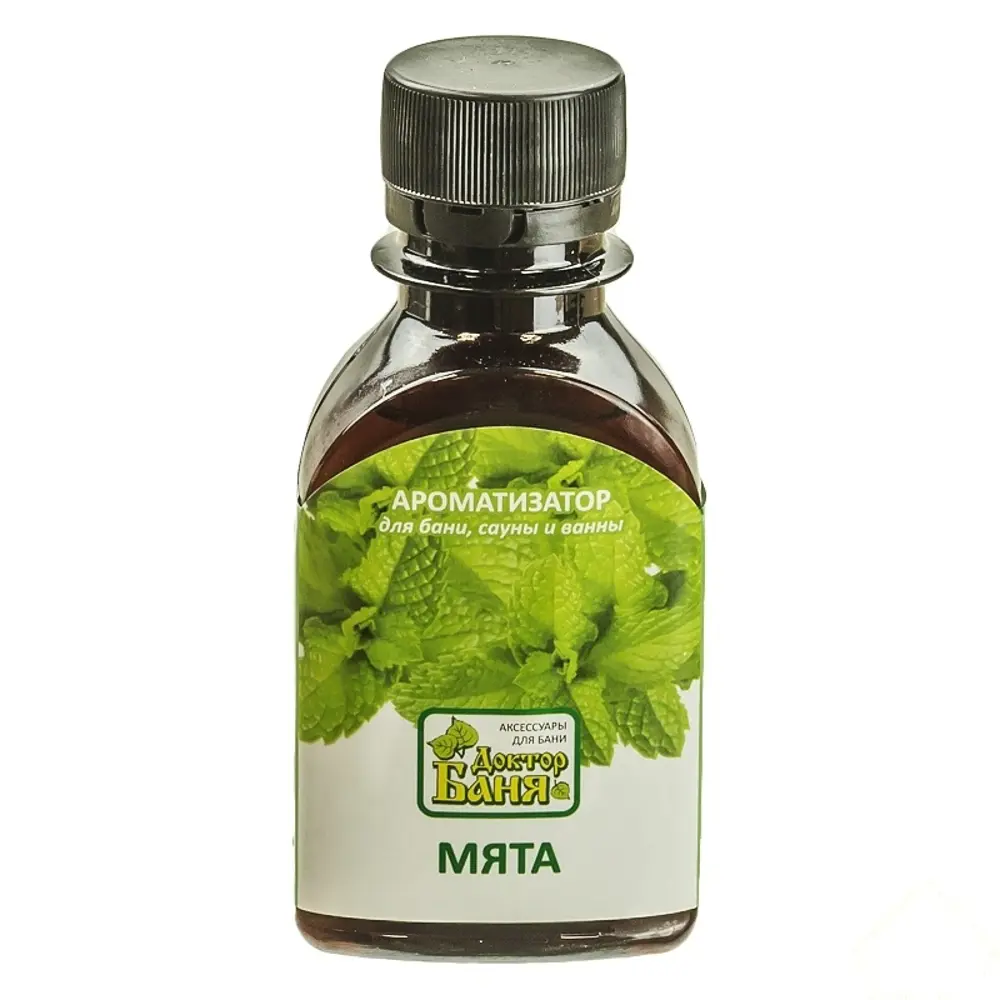 Ароматизатор Мята 100 мл Santreyd STLM-2028973