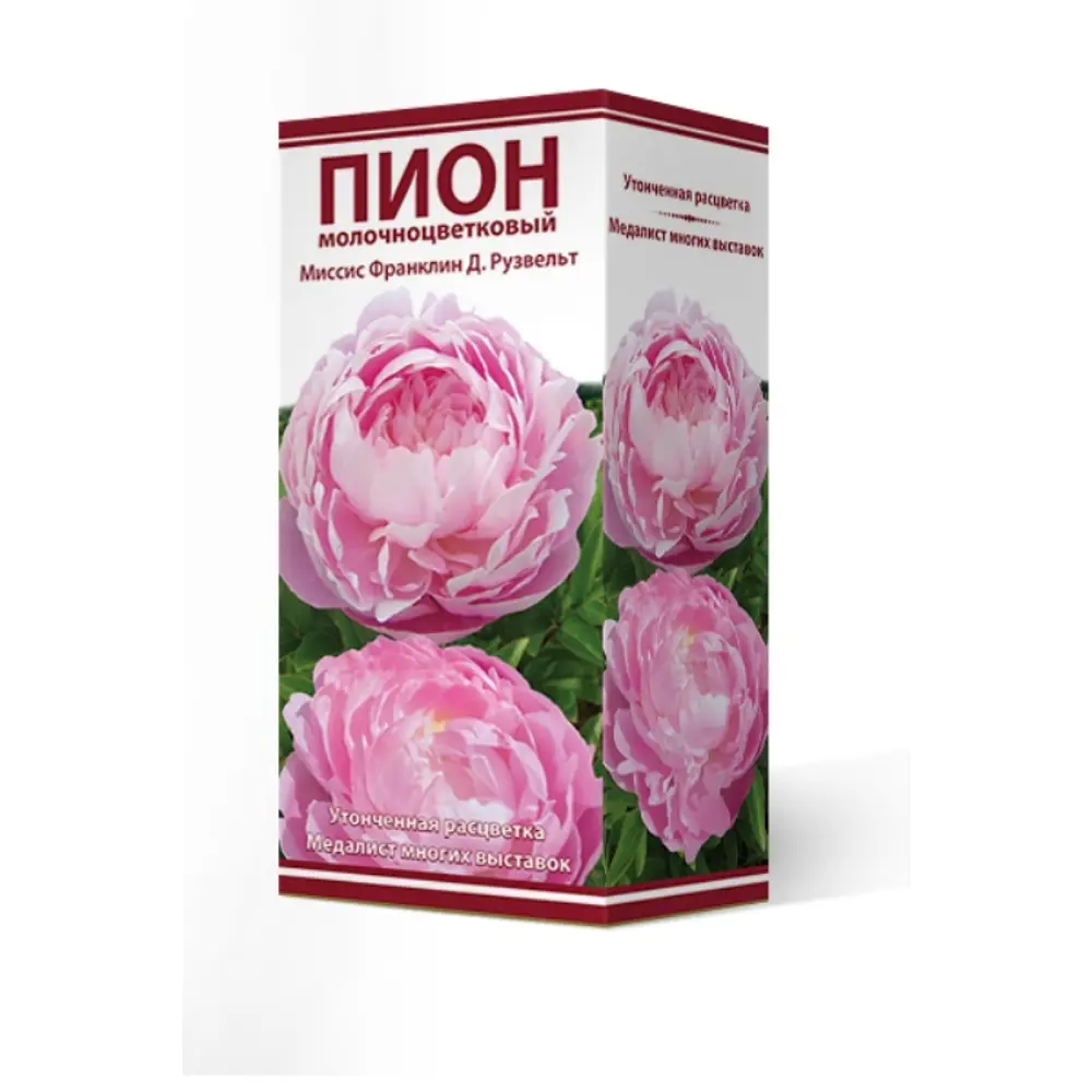 Пион травянистый Миссис Франклин Д.Рузвельт луковица 2-3 83600242 STLM-2181734 Santreyd 