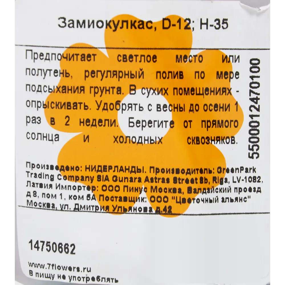Замиокулкас 12x35 см 82383212 STLM-2019714 Santreyd  - Вид №2