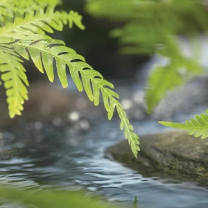 1-611-Along-the-River Фотообои Komar National Geographic 1.27х1.84 м